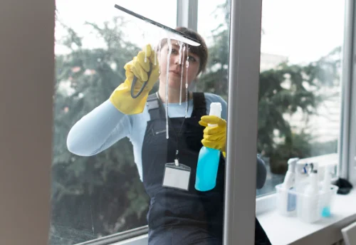Nettoyage de vitres intérieures et extérieures à Mahéru